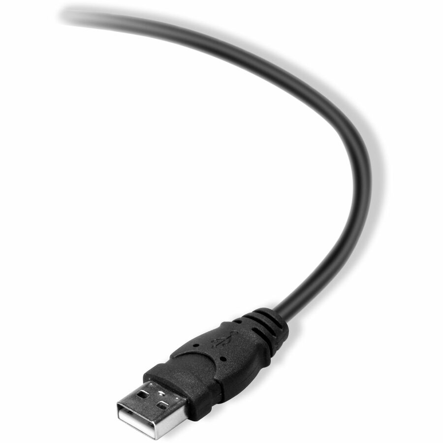 Belkin 2.0 USB-A to USB-B Cable F3U154bt0.9M