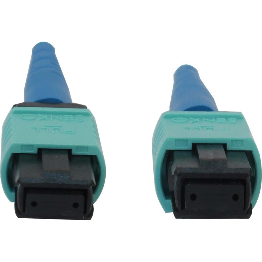 Câble réseau à fibre optique Tripp Lite par Eaton N846B-15M-24-P N846B-15M-24-P