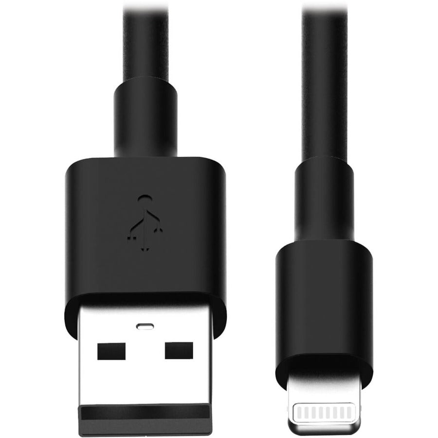 Câble de charge USB/Sync Lightning Tripp Lite 10 pouces pour Apple Iphone / Ipad noir 10 "paquet de 10 10pc M100-10N-BK-10
