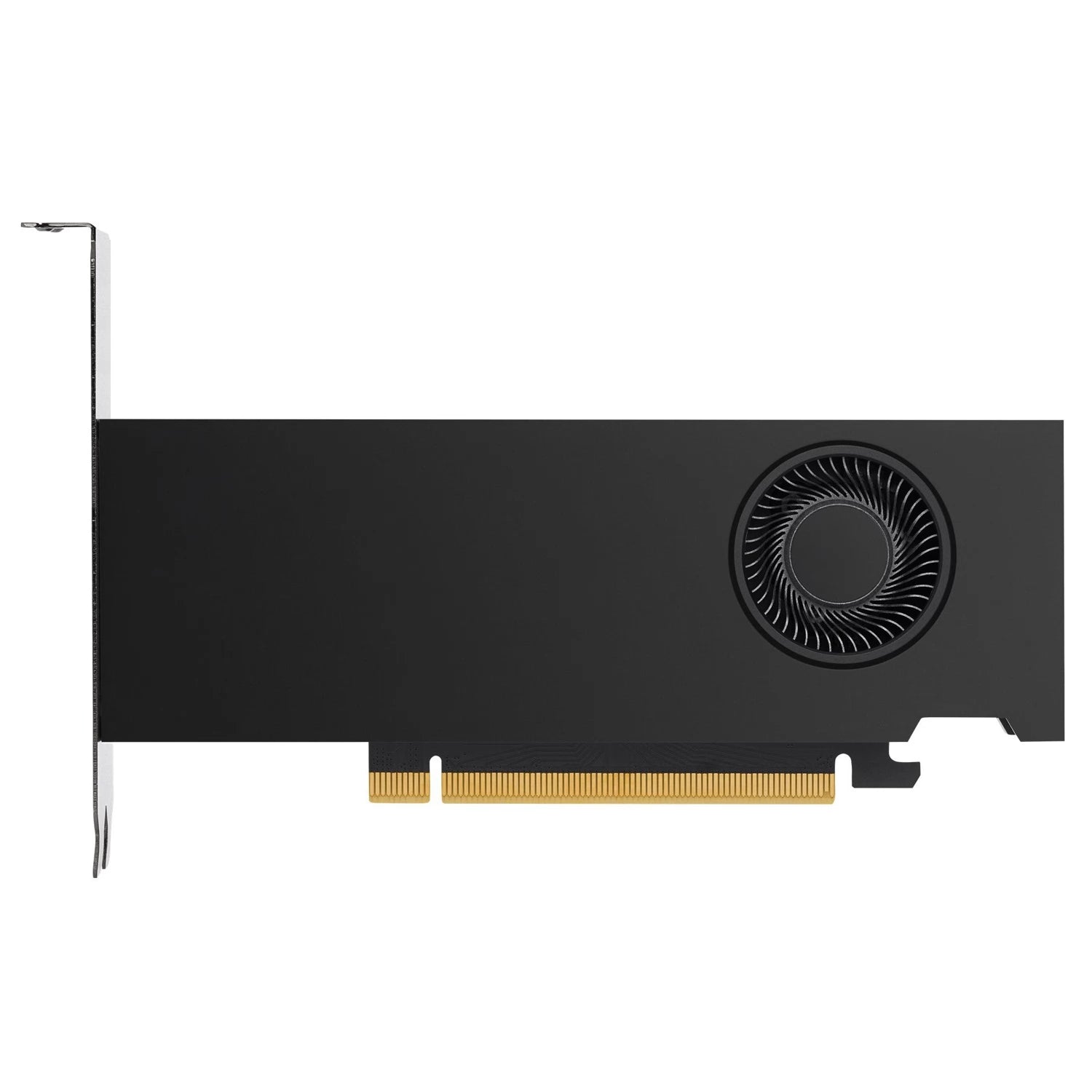 Lenovo NVIDIA RTX 2000 ada Graphic Card - 16 GB GDDR6 4X61P69962