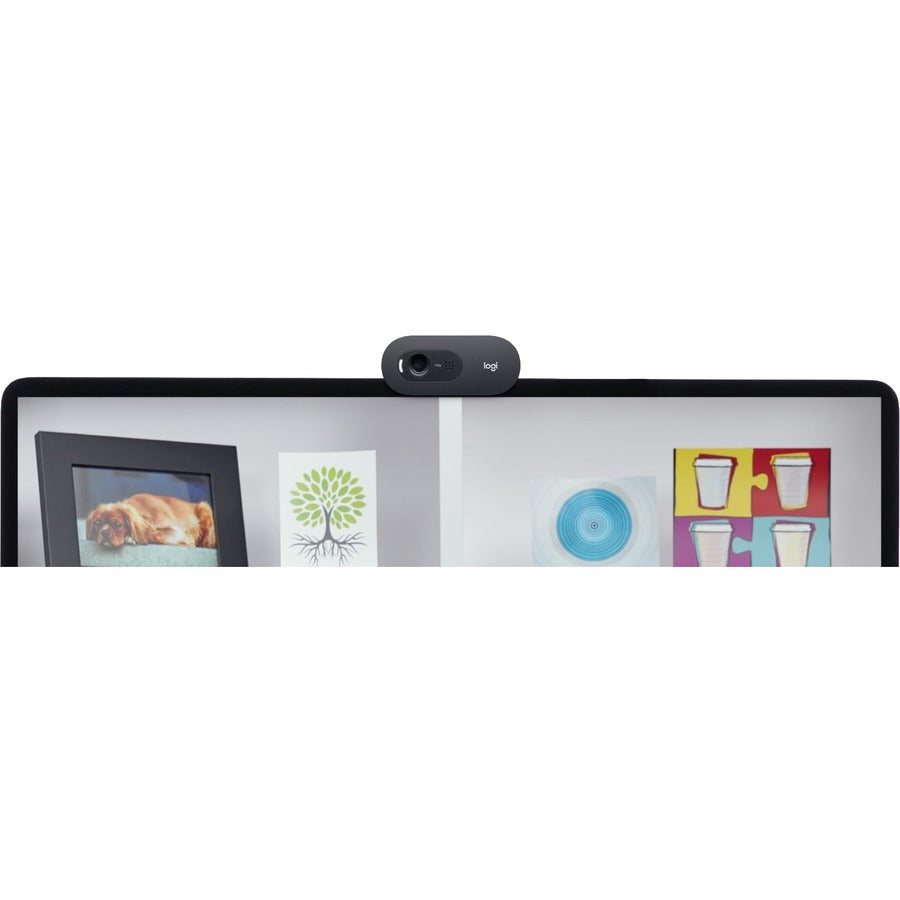 Logitech C505 Webcam - 30 fps - USB Type A 960-001363