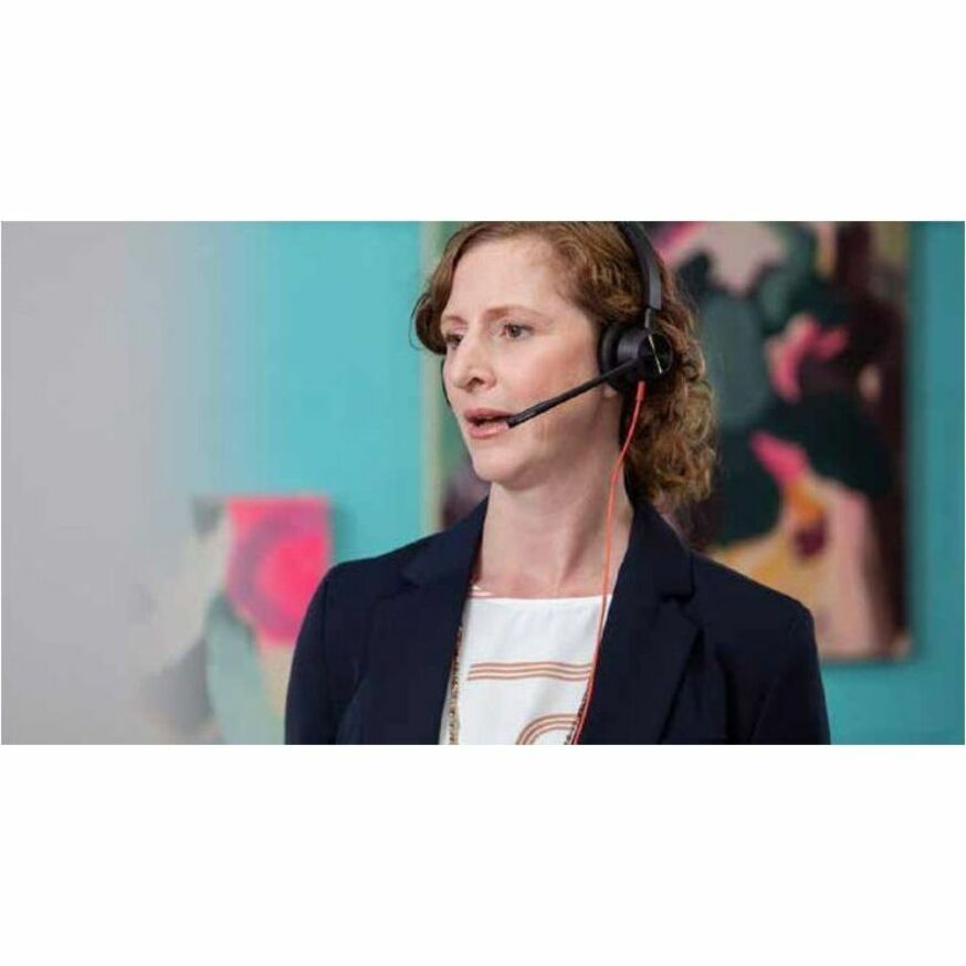 Plantronics BLACKWIRE 3300 SERIES 213936-01