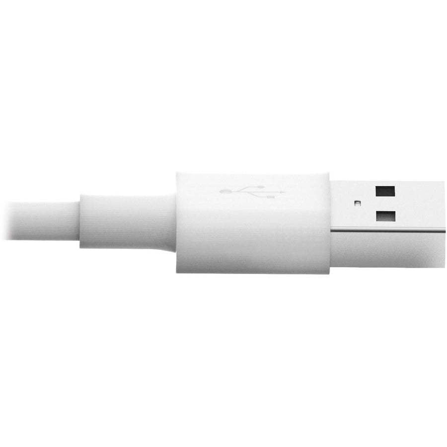 Câble de charge USB/Sync Lightning Tripp Lite 6 pieds pour Apple Iphone / Ipad blanc 6' M100-006-WH