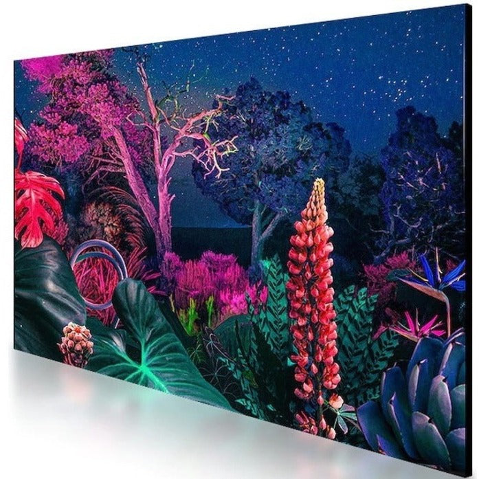 Écran professionnel QMB Samsung 43" LH43QMBEBGCXGO