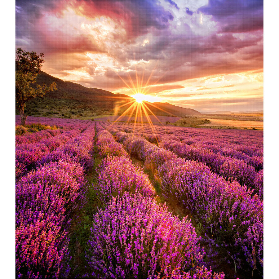 Armoire LED Samsung, pas de pixel de 2,5 mm, IF25H-E LH025IFHBAS/ZA