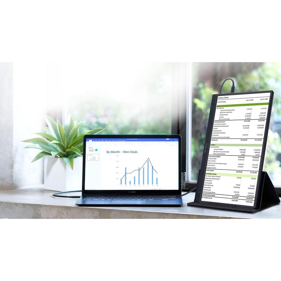 Asus ZenScreen MB166C 15.6" Full HD LCD Monitor - 16:9 - Black MB166C