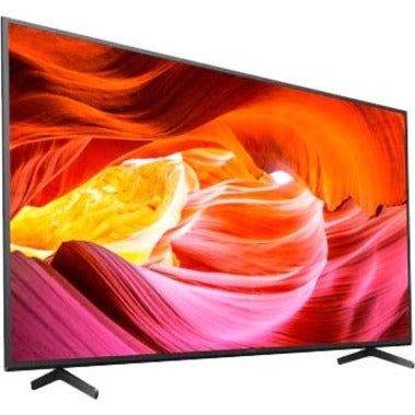 Sony BRAVIA X75K Digital Signage Display FWD55X75K