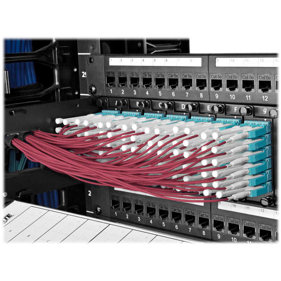 Tripp Lite by Eaton N845-01M-8L-MG MTP/MPO to 8xLC Fan-Out Patch Cable, Magenta, 1 m N845-01M-8L-MG