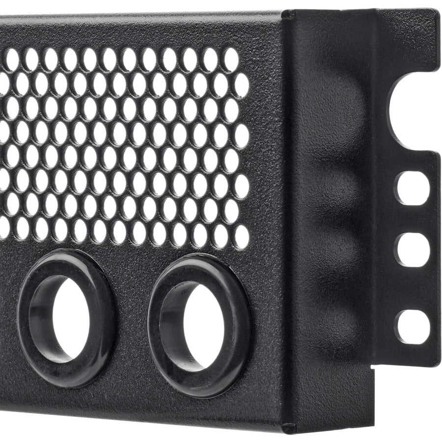 Tripp Lite by Eaton Fixed Standoff Security Cage for Rack Equipment, 2U, Rear SR2UCAGEREAR