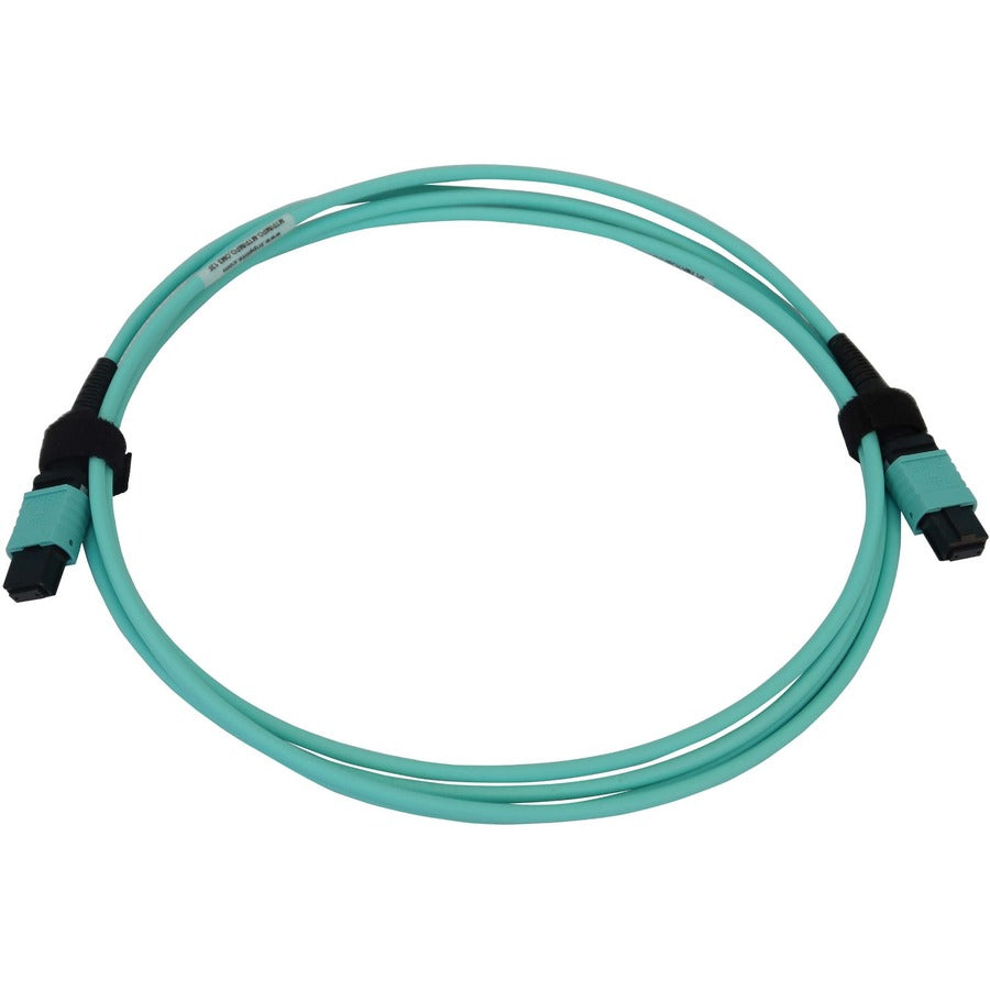 Câble réseau à fibre optique Tripp Lite par Eaton N844B-02M-12-P N844B-02M-12-P