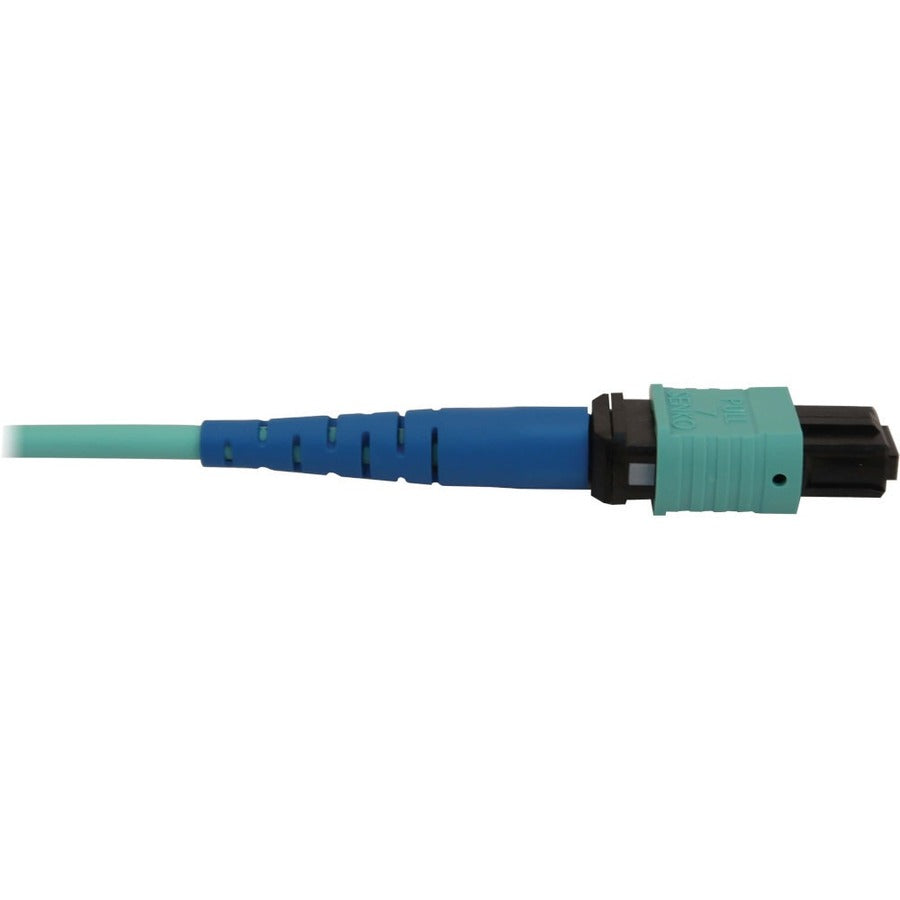 Tripp Lite by Eaton N846B-20M-24-P Fiber Optic Network Cable N846B-20M-24-P