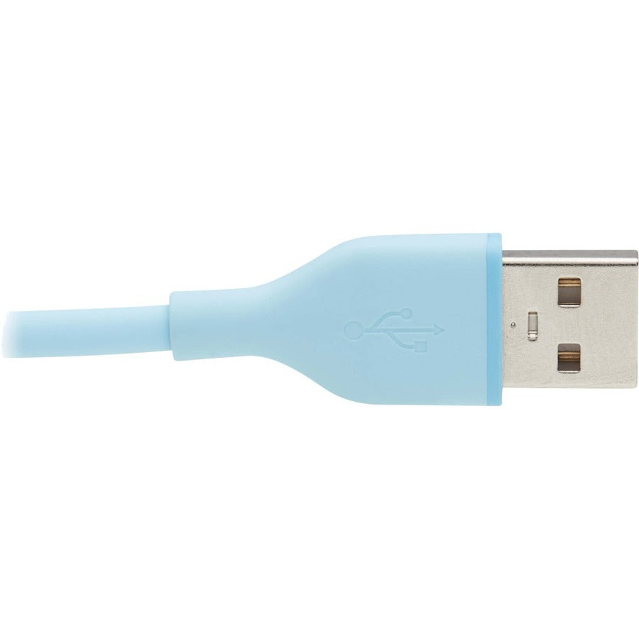Tripp Lite by Eaton Safe-IT USB/USB-C Data Transfer Cable U038AB-003-S-LB