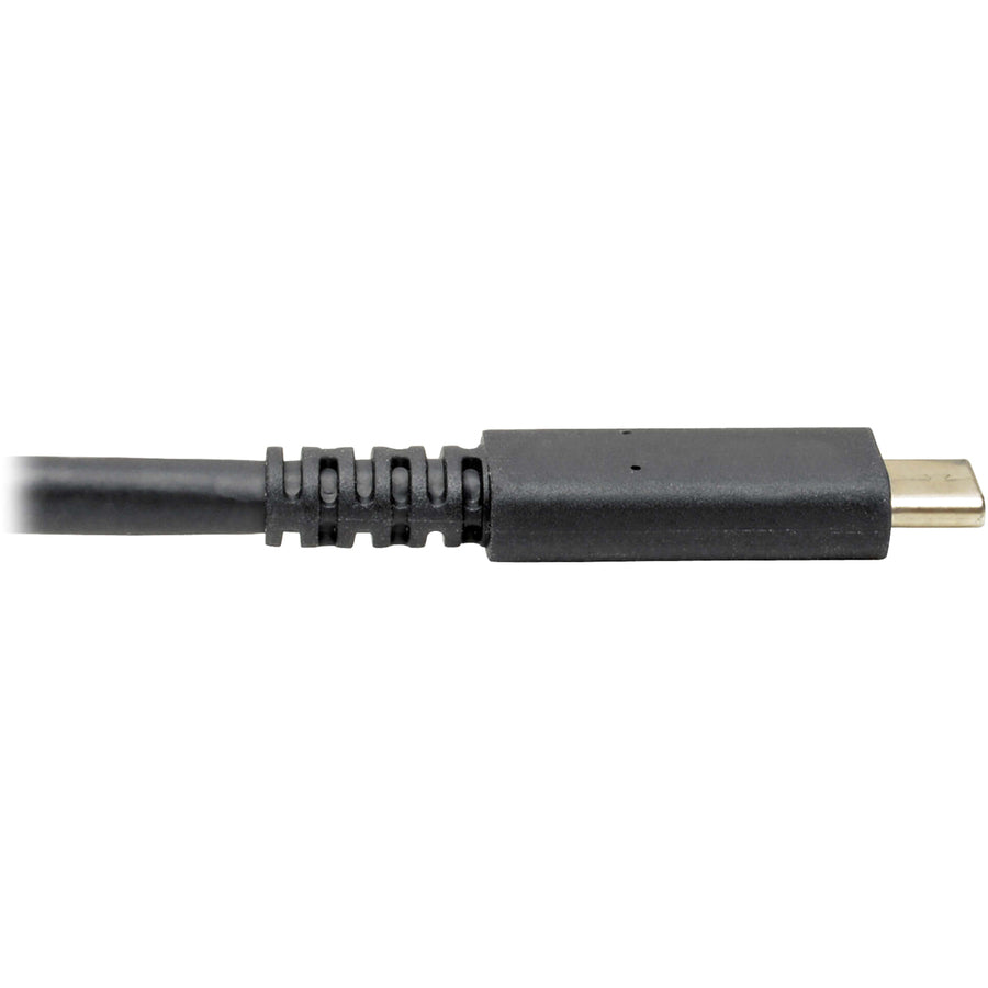 Tripp Lite par Eaton MTB3-002-DP Adaptateur audio/vidéo DisplayPort/Thunderbolt MTB3-002-DP
