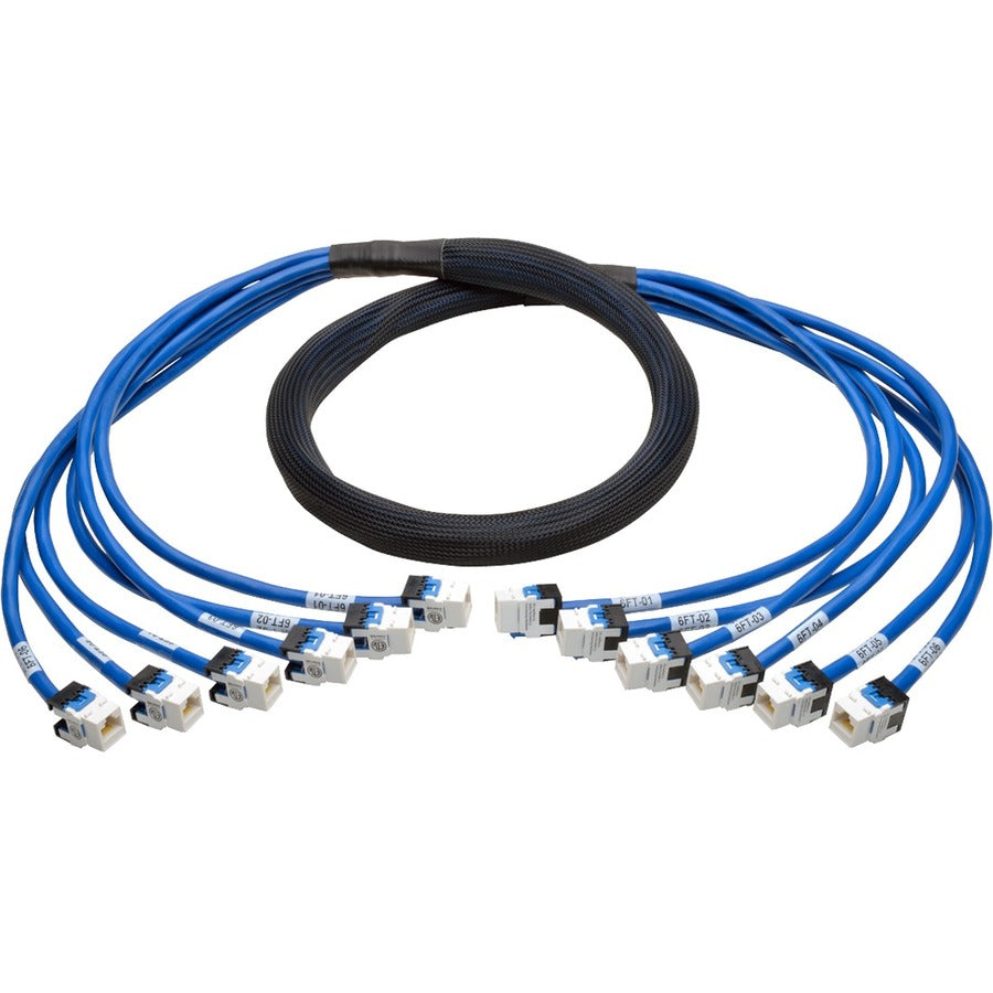 Tripp Lite by Eaton Ensemble de troncs en cuivre pré-terminés Cat6/Cat6a augmenté, (6x) RJ45 (F/F), 6 pi N261-006-6FF-BL