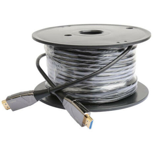Câble audio/vidéo à fibre optique Tripp Lite par Eaton P568-50M-FBR P568-50M-FBR
