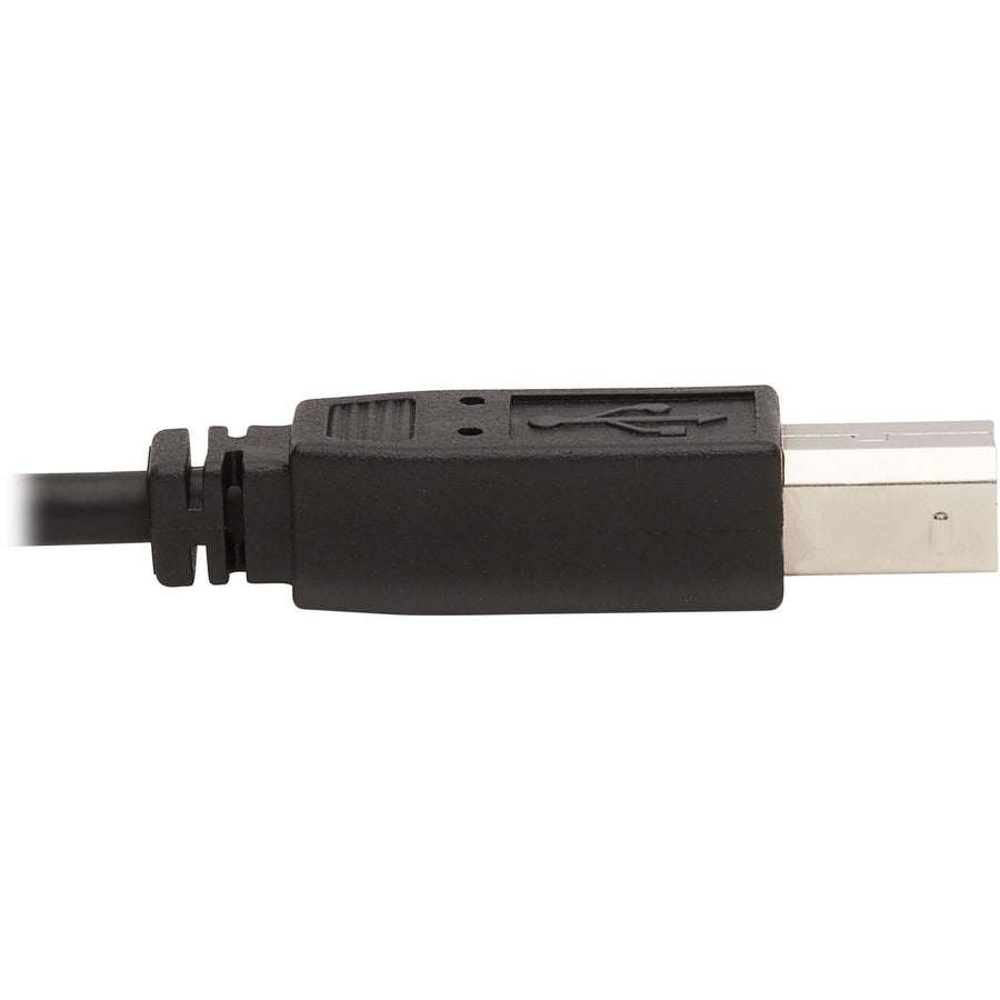 Câble KVM Tripp Lite par Eaton P783-010-DP