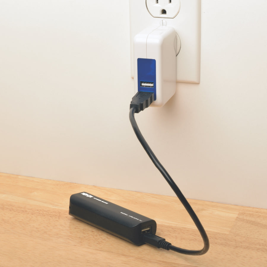 Tripp Lite by Eaton Portable 2600mAh Mobile Power Bank USB Battery Charger UPB-02K6-1U