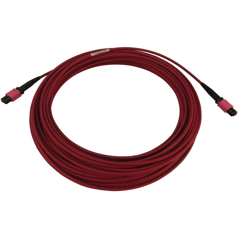 Câble réseau à fibre optique Tripp Lite par Eaton N845B-15M-12-MG N845B-15M-12-MG