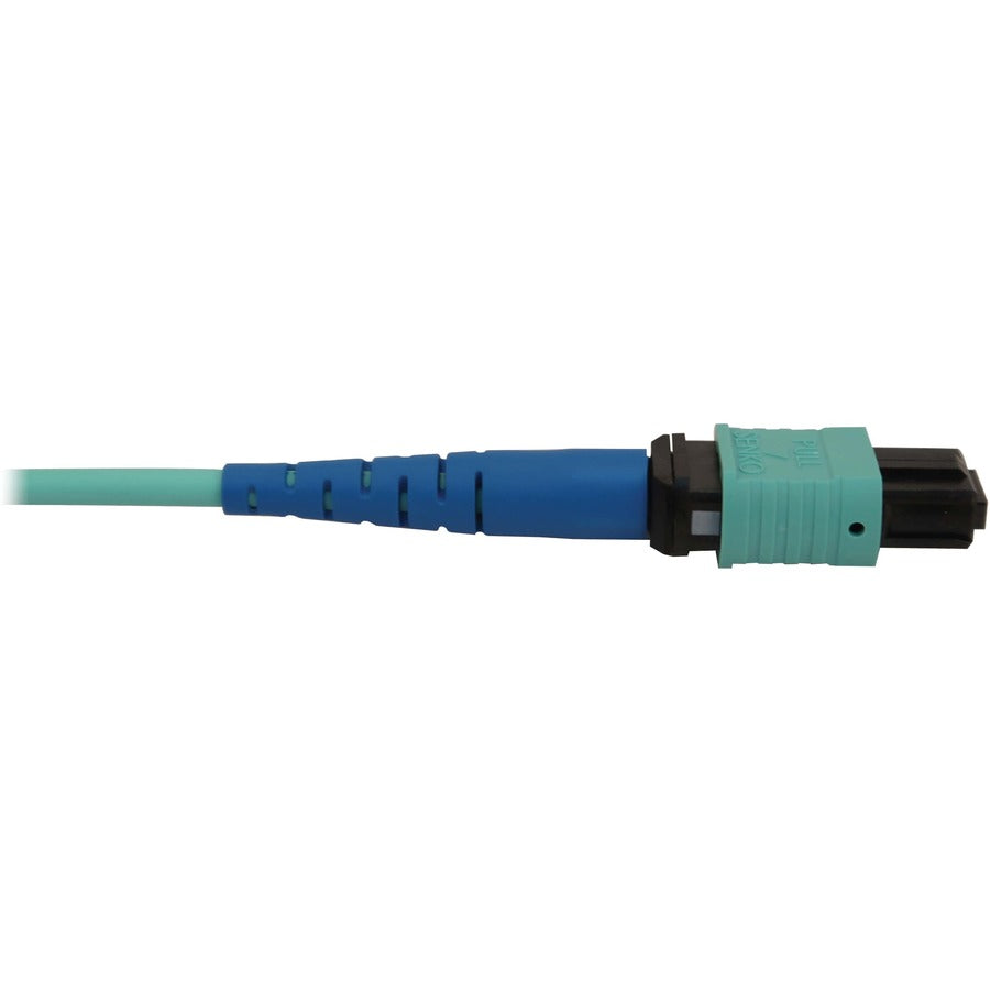 Tripp Lite by Eaton N846B-03M-24-P Fiber Optic Network Cable N846B-03M-24-P