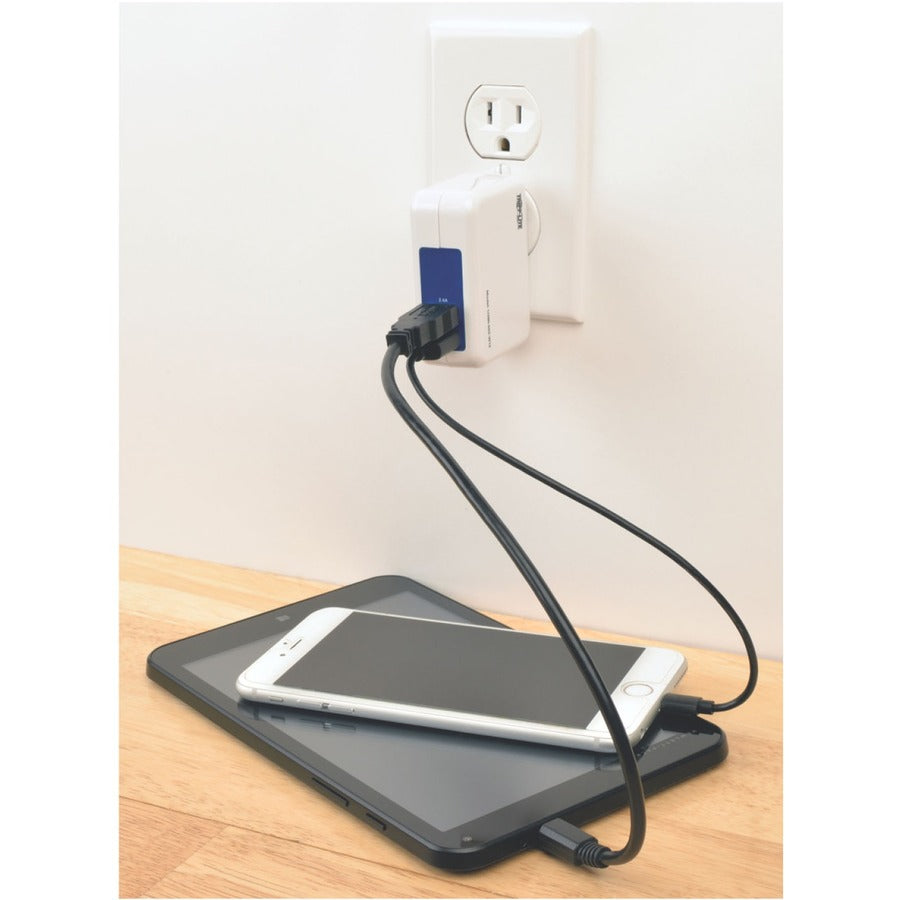 Tripp Lite by Eaton Chargeur mural/de voyage USB 2 ports, 5 V, 1,0/2,4 A U280-002-W12