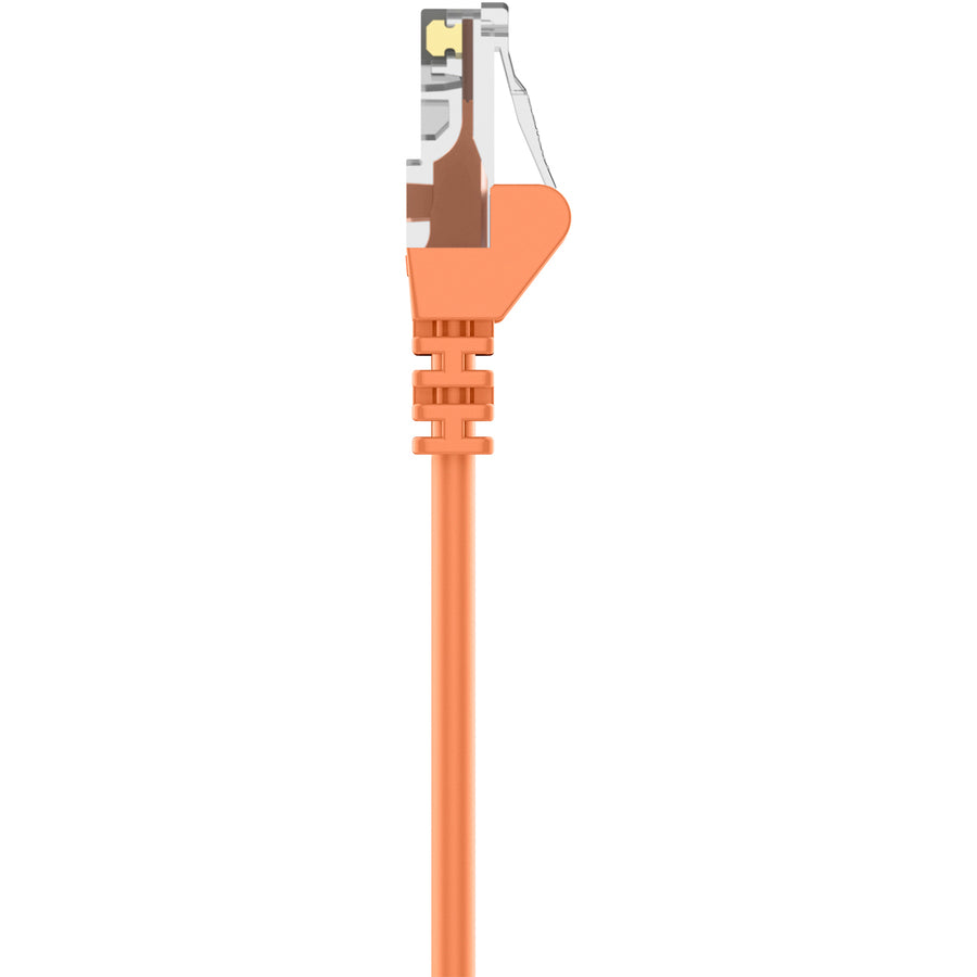 Belkin Cat5e Patch Cable A3L791-10-ORG-S
