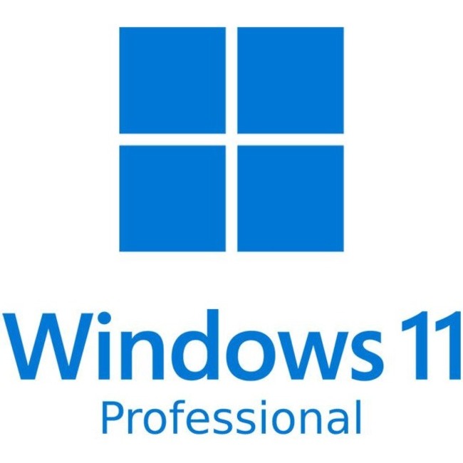 Microsoft Windows 11 Pro 64-bit - Box Pack - 1 License HAV-00156
