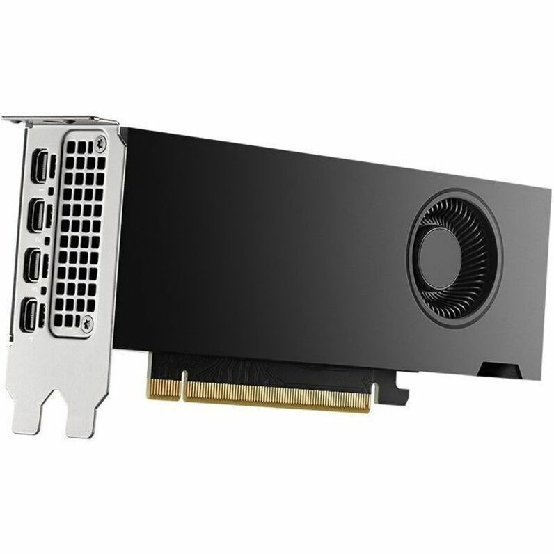 NVIDIA NVIDIA RTX 2000 Ada Graphic Card - 16 GB GDDR6 - Half-height 900-5G192-2541-000