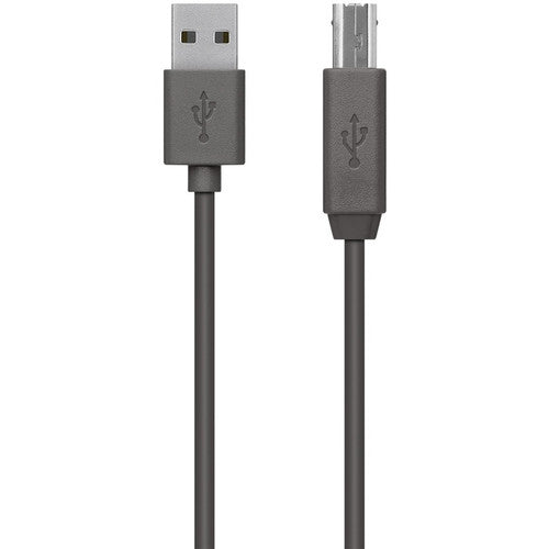 Câble de transfert de données USB Belkin F3U154BT1.8M