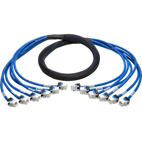 Tripp Lite by Eaton Ensemble de troncs en cuivre pré-terminés Cat6/Cat6a augmenté, (6x) RJ45 (F/F), 6 pi N261-006-6FF-BL