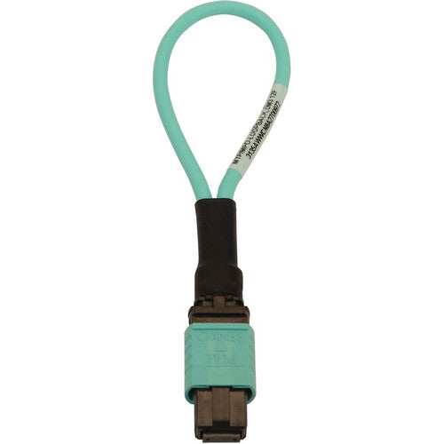 Tripp Lite par Eaton N844B-LOOP-12F Bouclage fibre optique N844B-LOOP-12F