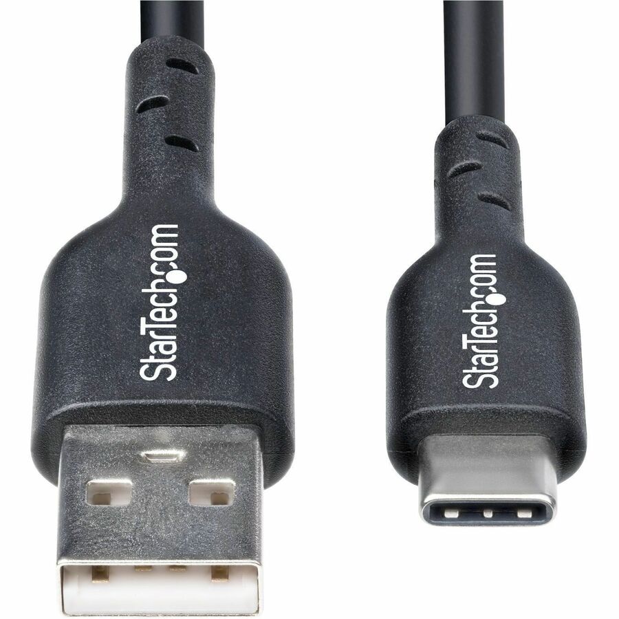 298095667.jpg