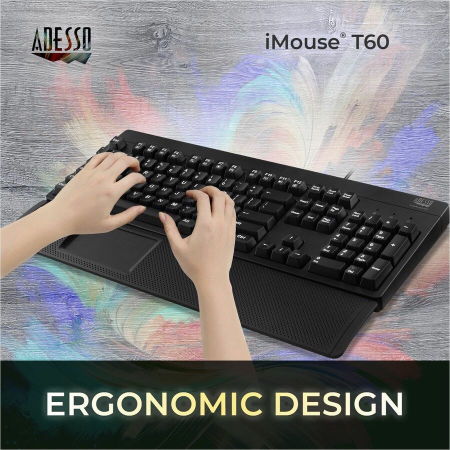 311666033.jpg