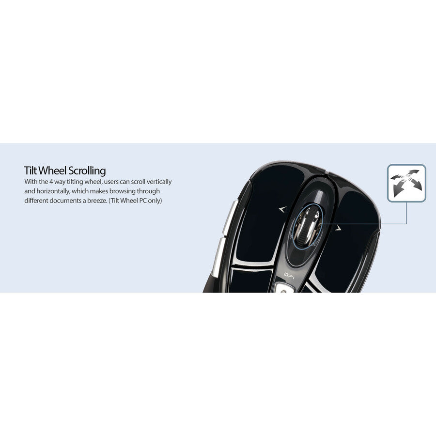 311679637.jpg