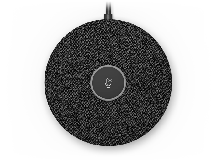 Logitech Rally Mic Pod - 989-000430