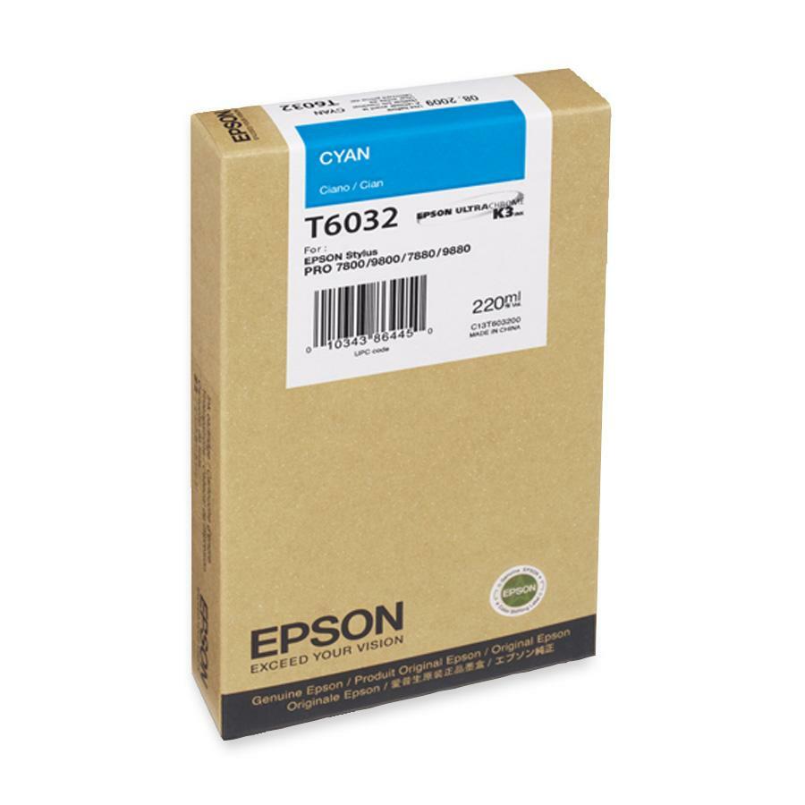 Epson Original Ink Cartridge T603200