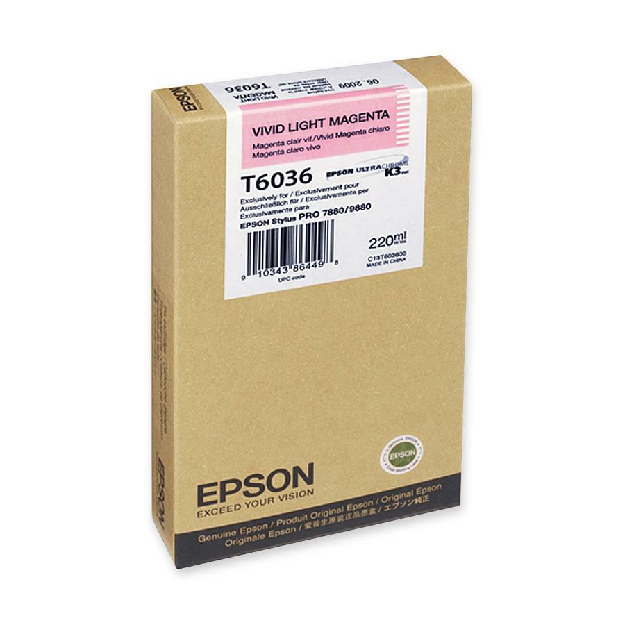 Epson Original Ink Cartridge T603600