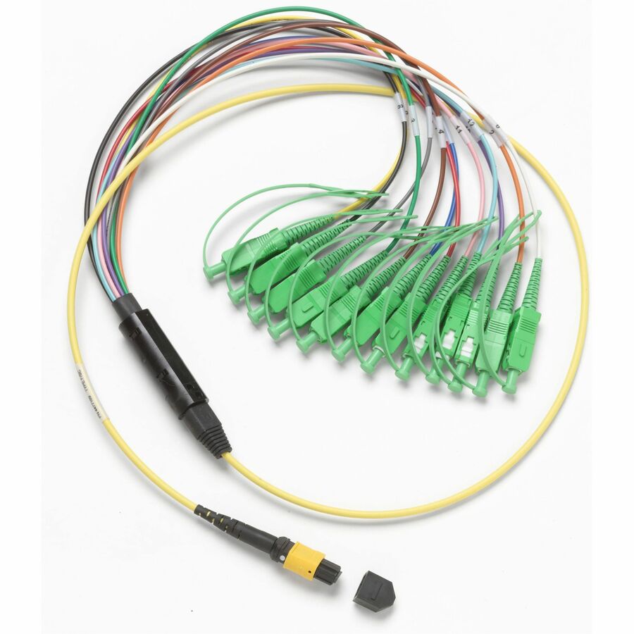 Fluke Networks 1 m Breakout Cord for SM MPOAPC Unpinned SCAPC Connector SBKC-MPOAPCU-SCAPC