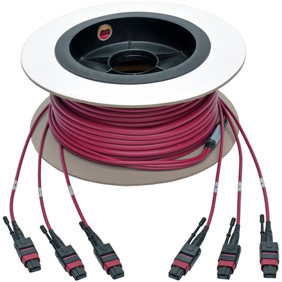 Tripp Lite by Eaton N858-15M-3X8-MG MTP/MPO Multimode Base-8 Trunk Cable, Magenta, 15 m N858-15M-3X8-MG