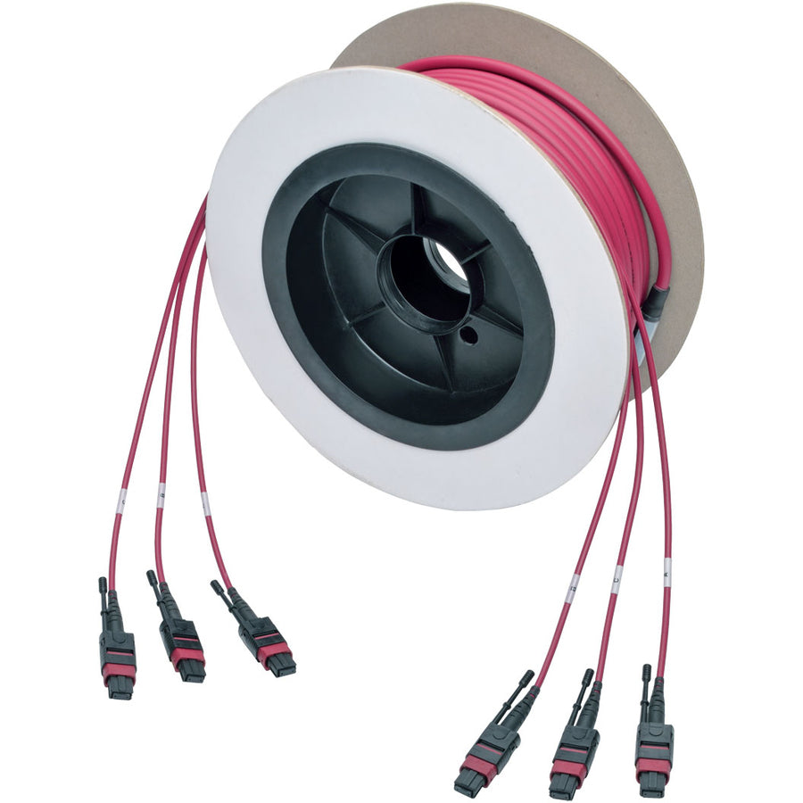 Tripp Lite by Eaton N858-15M-3X8-MG MTP/MPO Multimode Base-8 Trunk Cable, Magenta, 15 m N858-15M-3X8-MG