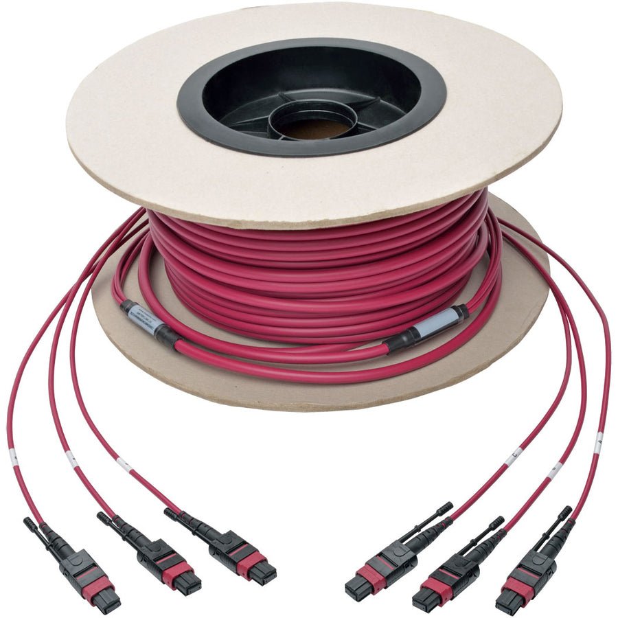 Tripp Lite by Eaton N858-61M-3X8-MG MTP/MPO Multimode Base-8 Trunk Cable, Magenta, 61 m N858-61M-3X8-MG