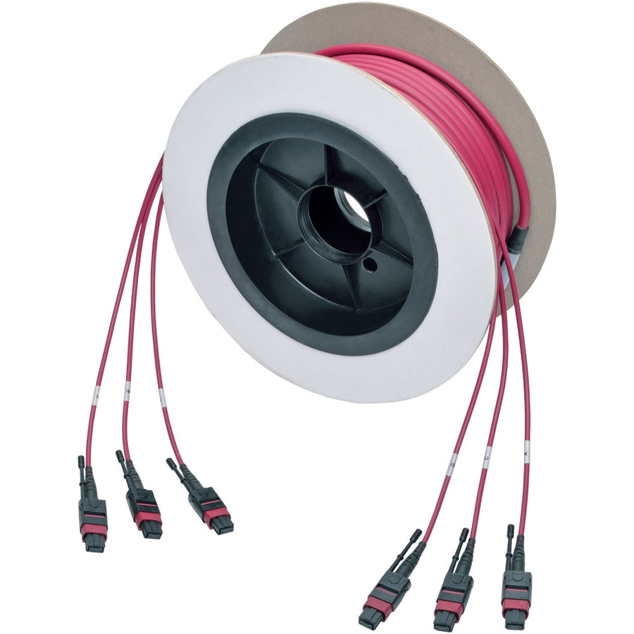 Tripp Lite by Eaton N858-61M-3X8-MG MTP/MPO Multimode Base-8 Trunk Cable, Magenta, 61 m N858-61M-3X8-MG