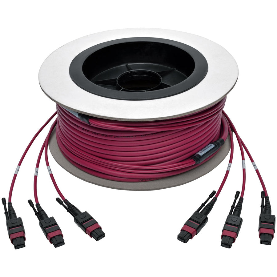 Tripp Lite by Eaton N858-23M-3X8-MG MTP/MPO Multimode Base-8 Trunk Cable, Magenta, 23 m N858-23M-3X8-MG