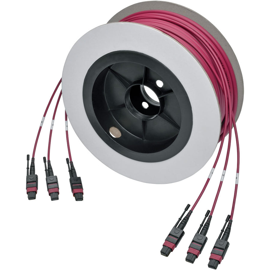 Tripp Lite by Eaton N858-23M-3X8-MG MTP/MPO Multimode Base-8 Trunk Cable, Magenta, 23 m N858-23M-3X8-MG