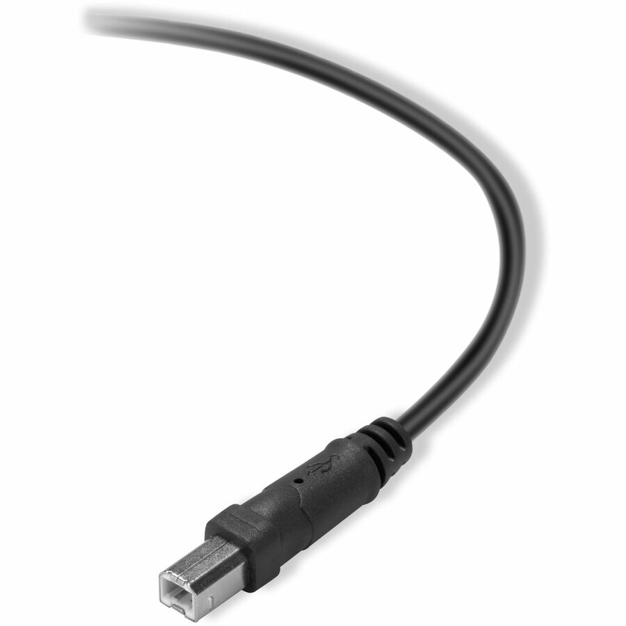 Belkin 2.0 USB-A to USB-B Cable F3U154bt0.9M