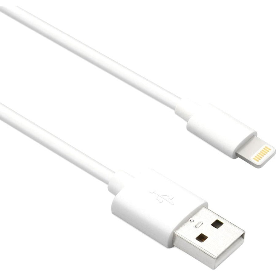 Axiom Lightning to USB-A M/M Adapter Cable - White 6ft LGMUSBAMW06-AX