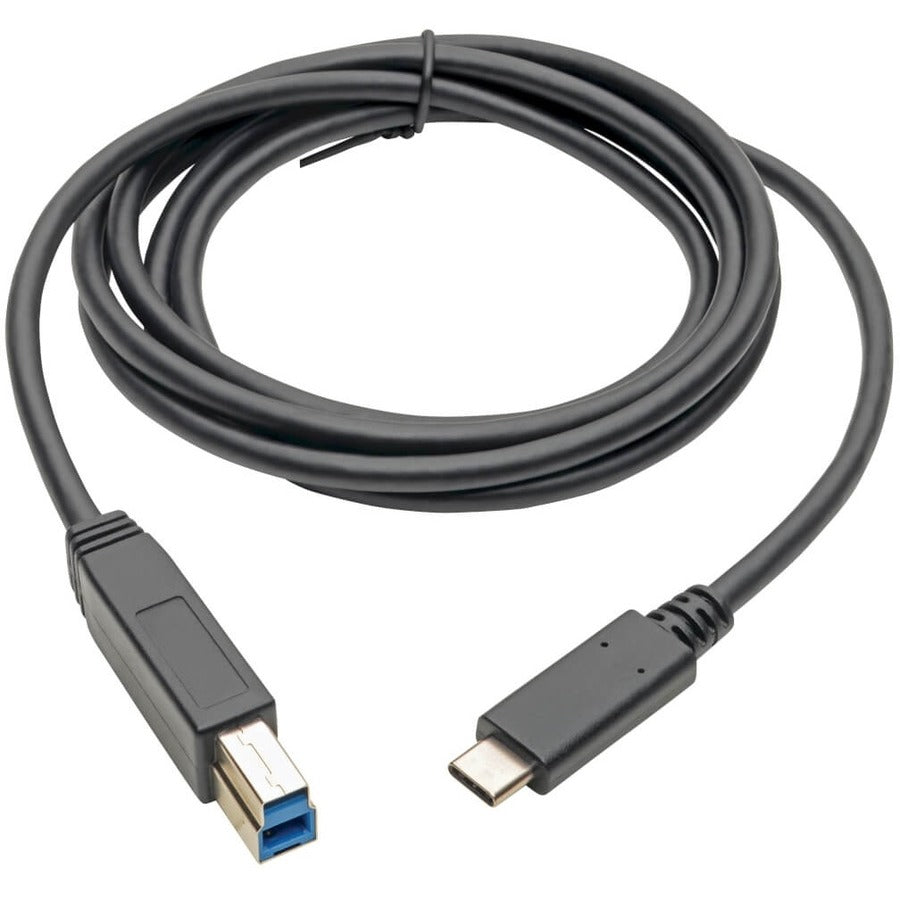 Tripp Lite by Eaton U422-006 USB Type-C to USB Type-B Cable, 6 ft. U422-006