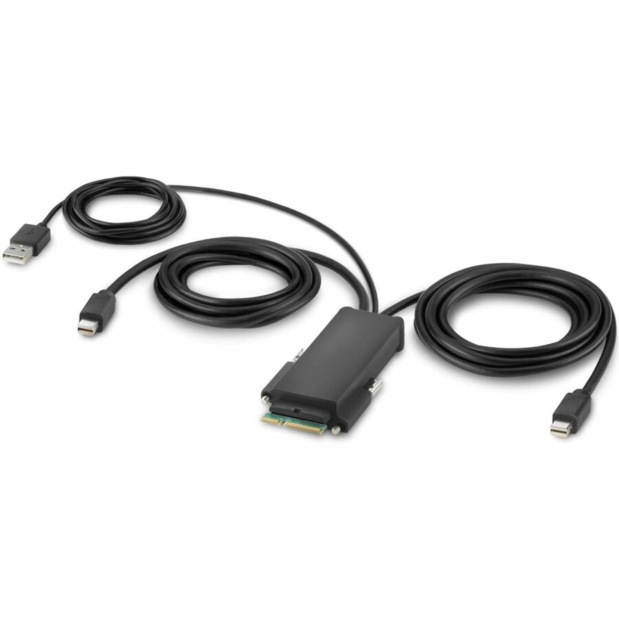 Belkin Modular Mini DP Dual-Head Host Cable 6 ft. F1DN2MOD-HC-M06