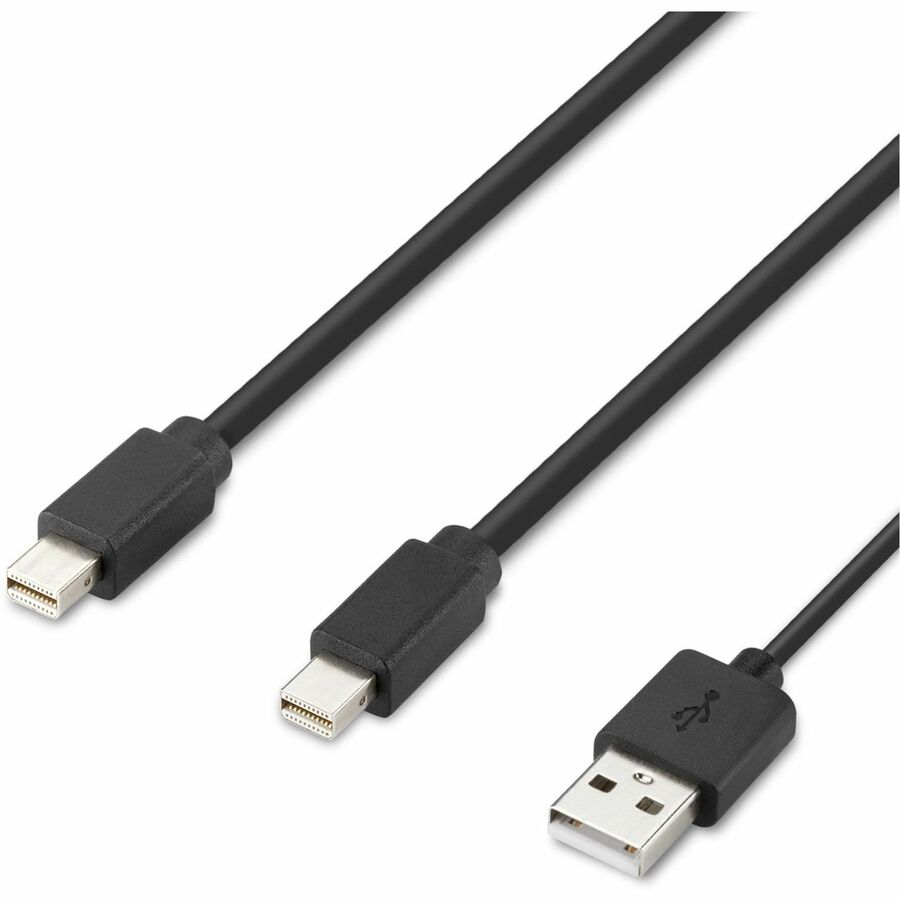 Belkin Modular Mini DP Dual-Head Host Cable 6 ft. F1DN2MOD-HC-M06