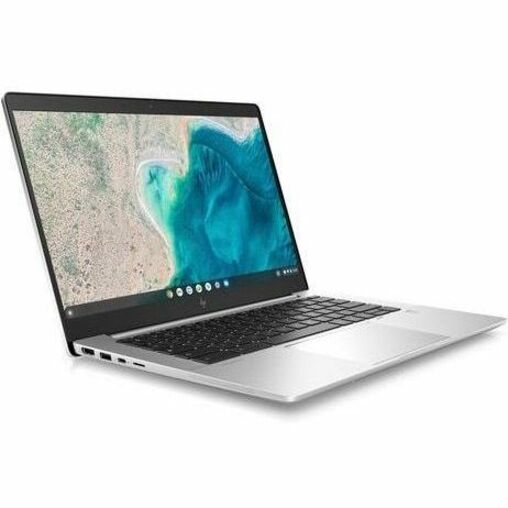 HP Elite c640 G3 Chromebook Enterprise 14" Chromebook - Intel Celeron 7305 - 8 GB - 64 GB Flash Memory - Bilingual Keyboard 6P3J5UT#ABL