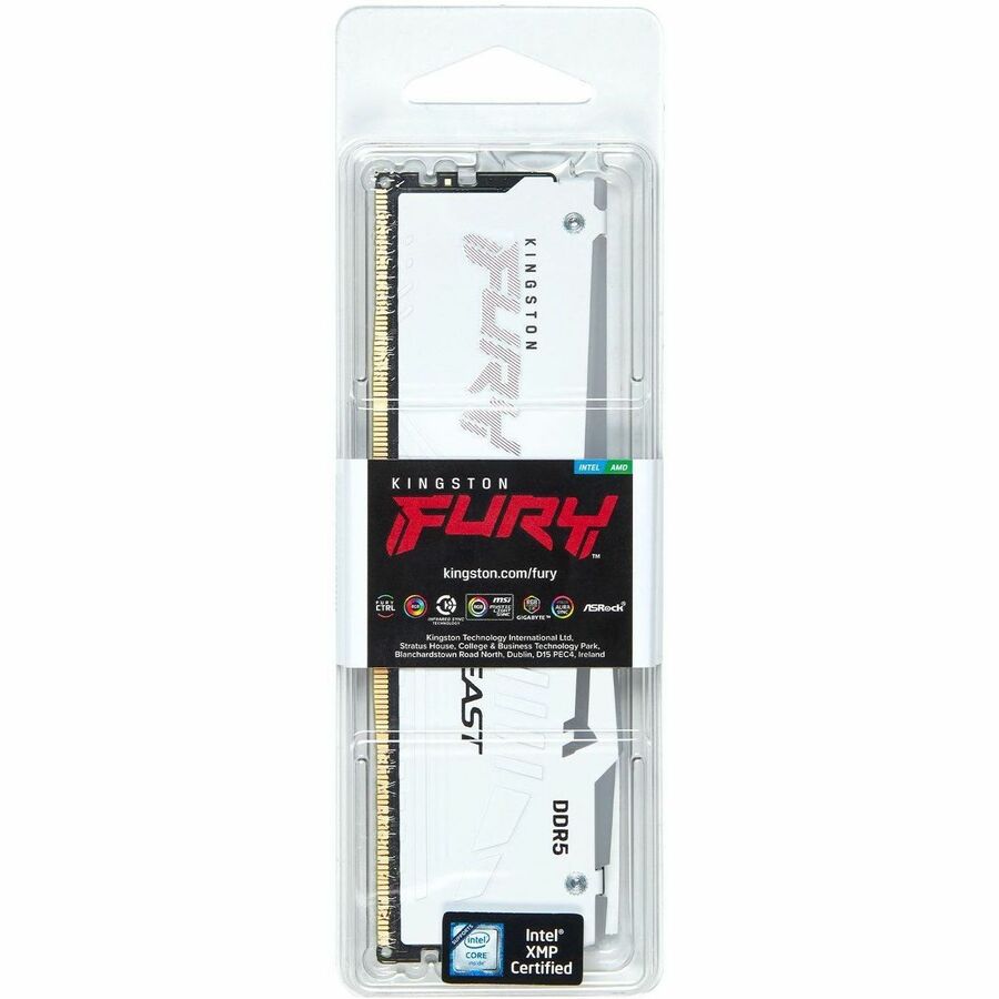 Kingston FURY Beast 32GB DDR5 SDRAM Memory Module KF560C30BWA-32